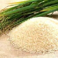 Manufacturers Exporters and Wholesale Suppliers of Sella Rice KURUKSHETRA Haryana